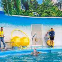 Dolphins Bay Phuket