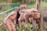 คันนา คาเฟ่ จ.นครปฐม