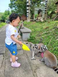 深圳動物園一天遊