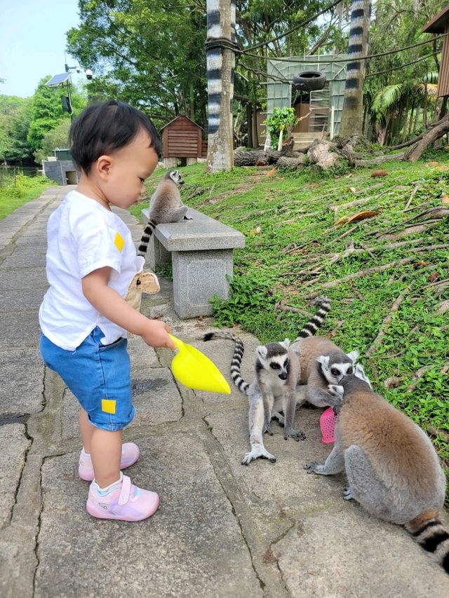 深圳動物園一天遊