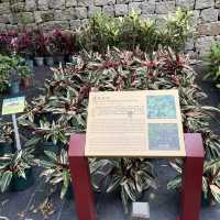 Luís de Camões Plant Nursery