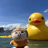 Fatty Puffy meet Duckys