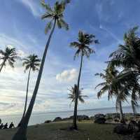 Coconut Garden in Ujong Kareung