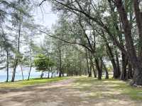 ชายหาดท้ายเหมือง หาดสวย จ. พังงา 