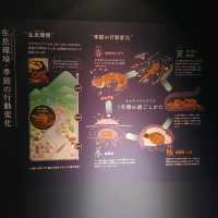 オオサンショウウオを堪能できる　京都水族館