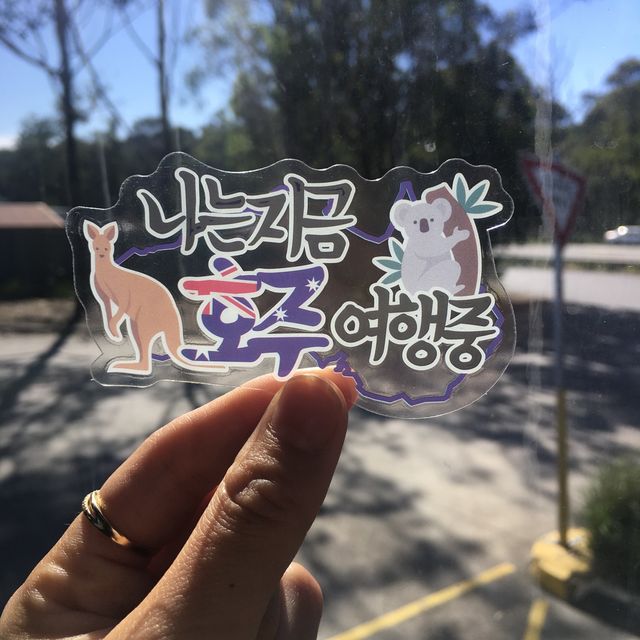 호주여행 시드니 안가면 후회할 명소✨