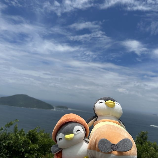 飛機鵝和橙鵝烈日行山🥵