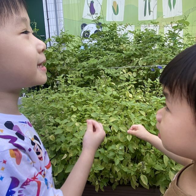 親子staycation 