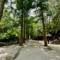 K-Drama Winter Sonata Filming Site, Seoul