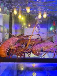 灣仔新鮮即撈海鮮日式fine dining🎣