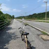 西表島 ｜單車漫游🚴 賞日落🌄體驗馬肉刺身