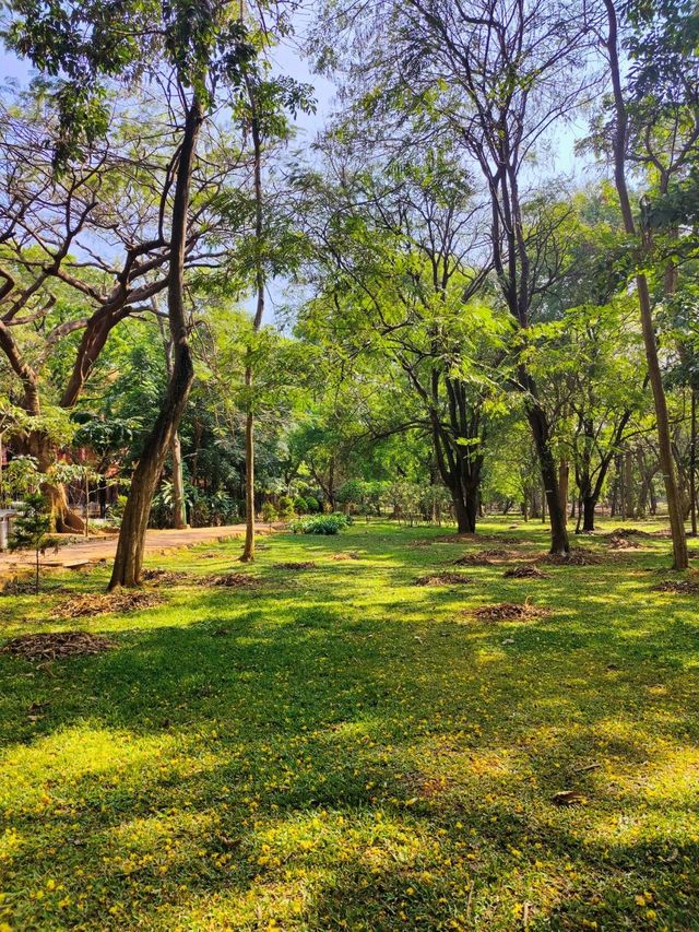 A must visit Park in Bengaluru 😍 