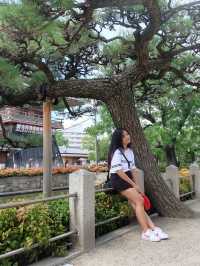 วัดชิเทนโนจิ Shitennoji Temple