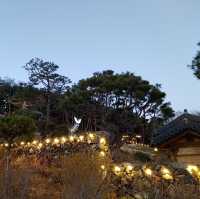 아름다운 산 뷰를 보면서 차를 마실 수 있는, 산청 방목리 카페
