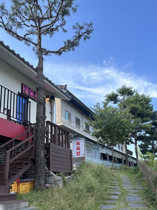 가족과 가면 너무 좋을곳 💜 산청 동의보감촌 