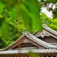 ⛩️🌸 雷山千如寺：靜謐與美麗的禪修之旅 🍃🏯✨