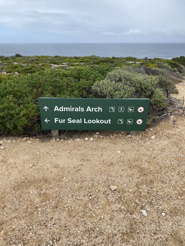 🏝️🦘🐨🦭阿德萊德袋鼠島～動物王國🏝️🦘🐨🦭