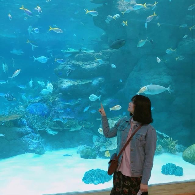 나고야 항구에서 데이트하기 좋은 코스🐠
