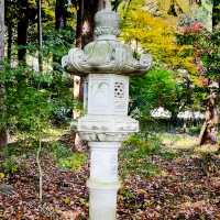 【長野県/紅葉が美しい🍁”出早雄小萩神社”と”出早公園”】