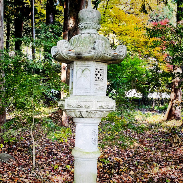 【長野県/紅葉が美しい🍁”出早雄小萩神社”と”出早公園”】