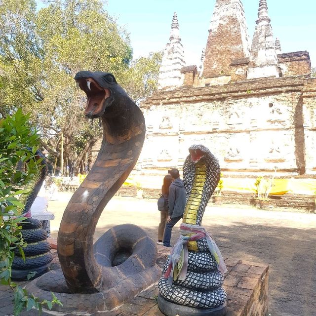 ไหว้พระธาตุคนปีเกิดปีมะเส็ง วัดเจ็ดยอด เชียงใหม่