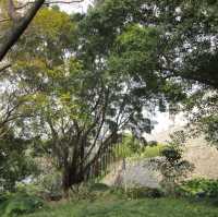 Ruins of St Paul's in Macau 