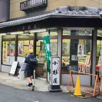 奈良隱藏景點，郡山金魚之都