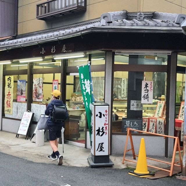 奈良隱藏景點，郡山金魚之都
