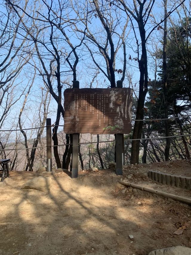 초보도 충분히 등산할 수 있는 서울 근교 광교산 형제봉 코스 ⛰️