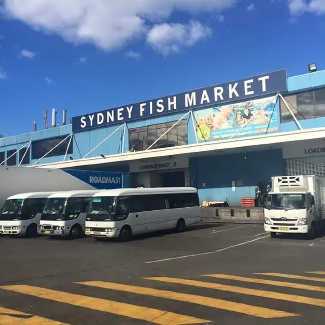 ☀️Sydney Fish Market｜生蠔刺身我來了！不能錯過的悉尼海鮮市場