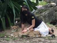 สวนสัตว์หัวหิน ซาฟารี