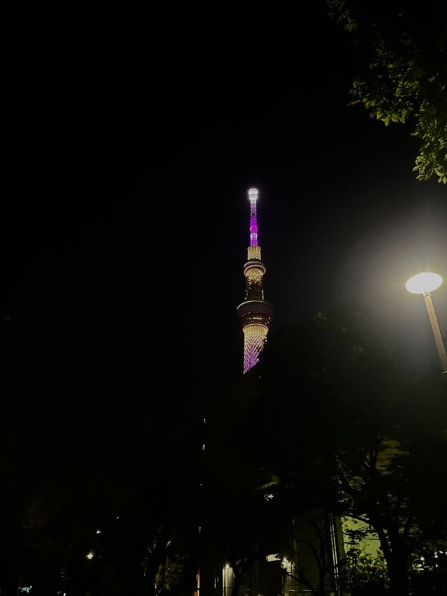 "도쿄 스카이트리"에서 감상하는 도쿄 야경✨