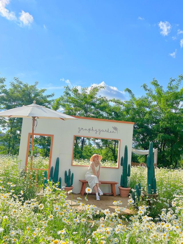 강원도 원주 사진정원🌼