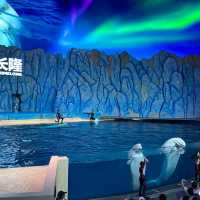 珠海長隆海洋王國之海洋動物