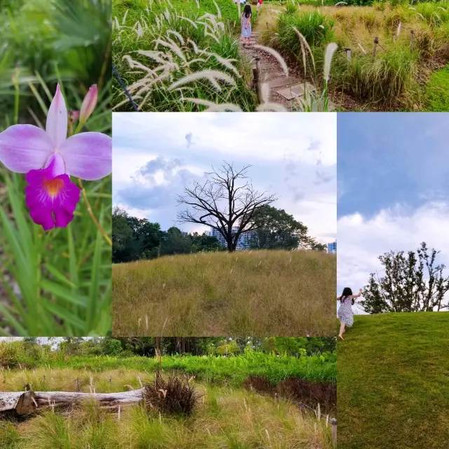 Tranquility Outdoor Adventure in Jurong 