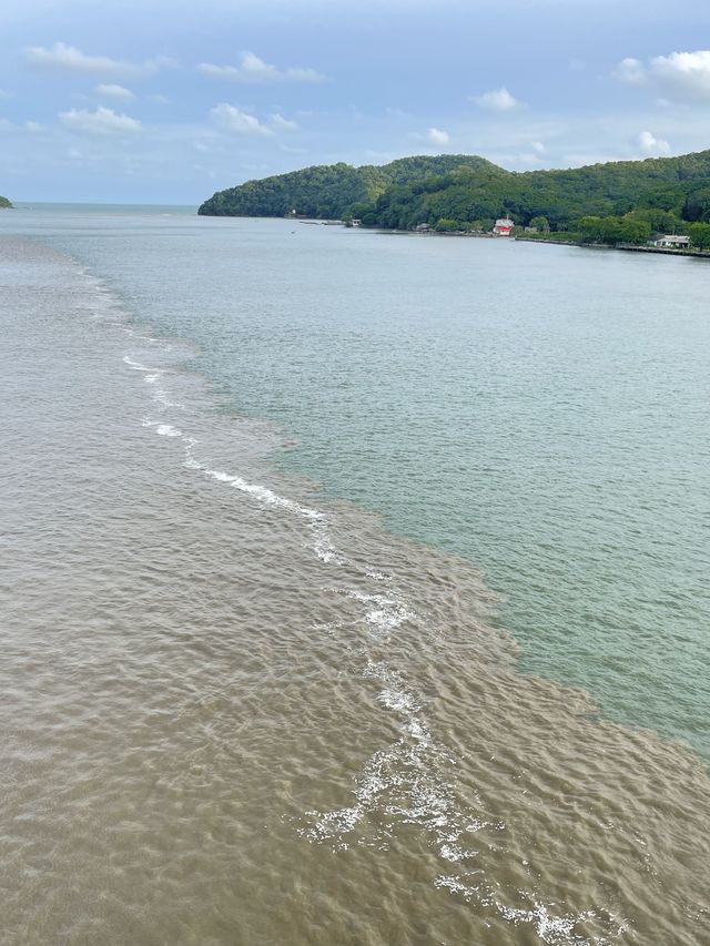 สะพานตากสินมหาราช จ.จันทบุรี