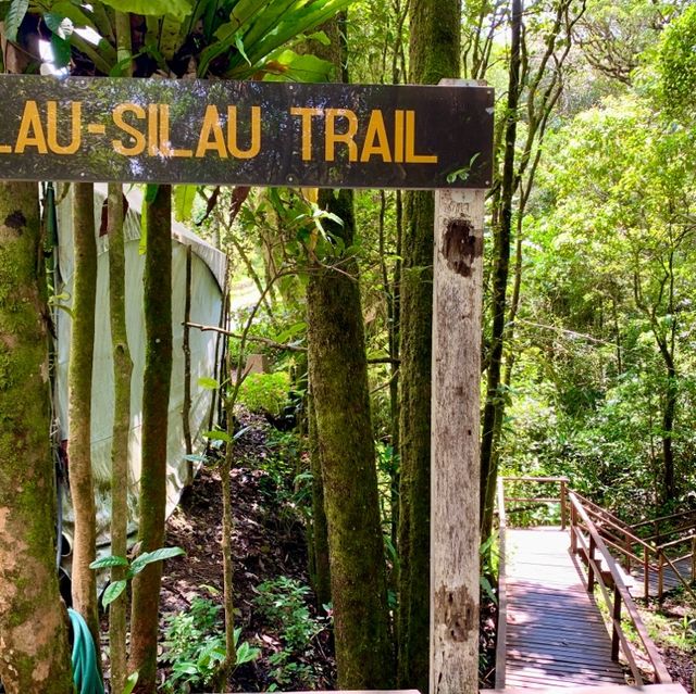 Kinabalu Park trails for the explorer!