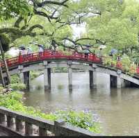 福岡魅力旅！