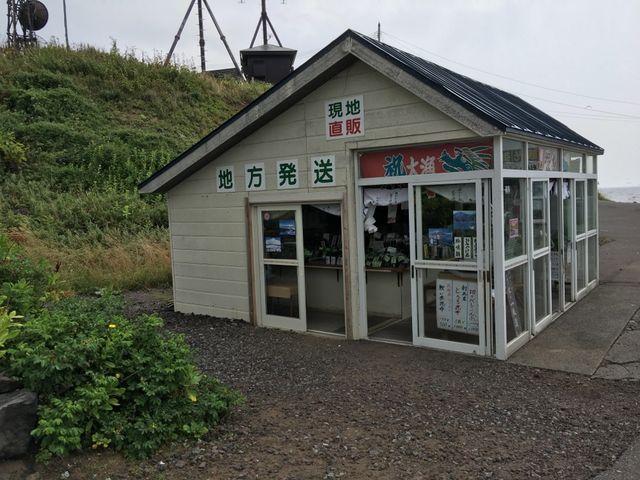 北海道　北海道観光　利尻島の絶対外せない観光スポット 仙法志御崎公園でアザラシに会ってきた！