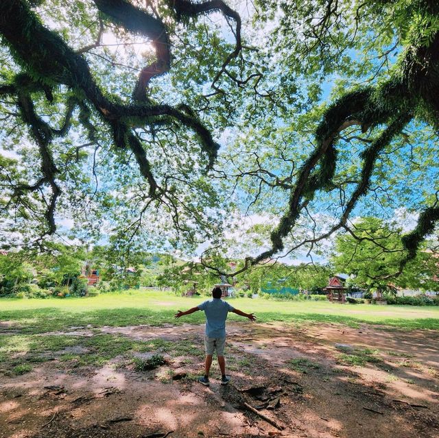 จามจุรียักษ์​เมืองน่าน