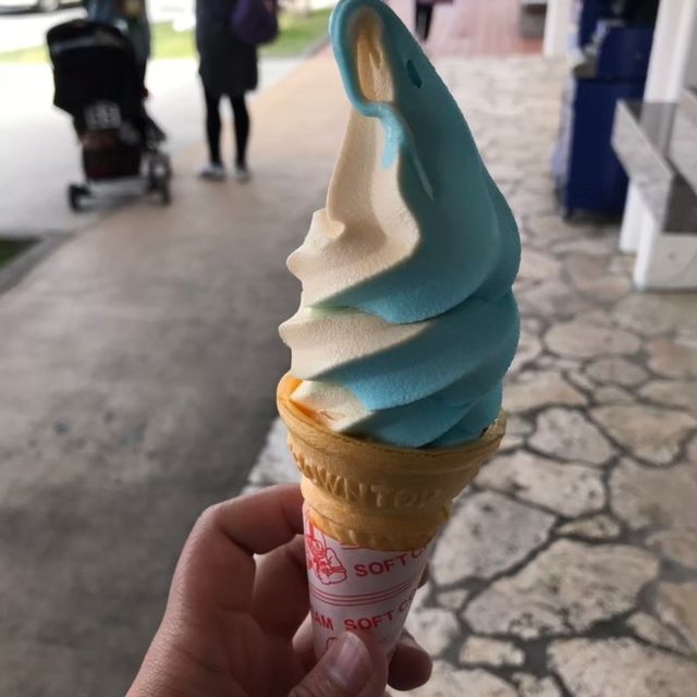 沖繩必去景點～美麗海水族館
