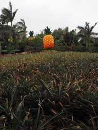沖繩夏日親子遊‼️旅行🧳必去超得意菠蘿🍍主題名護鳳梨園