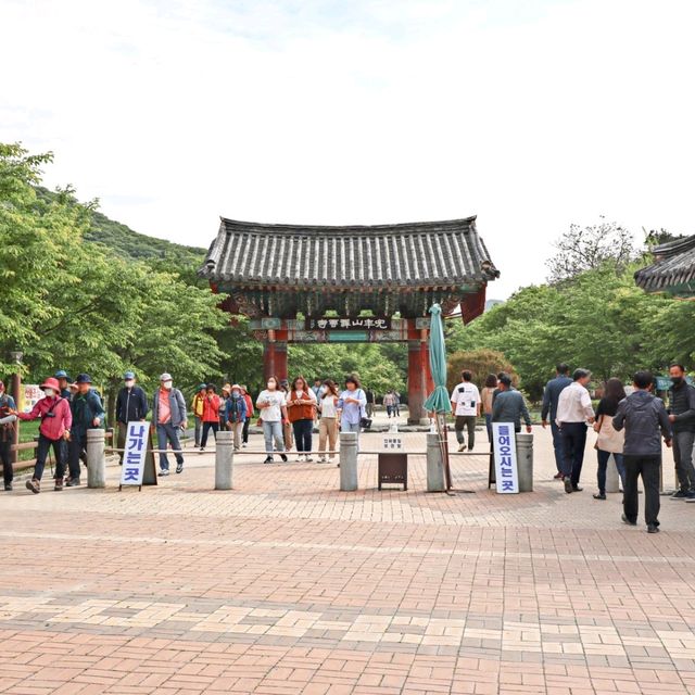 초록초록한 숲길, 산책하기 좋은 고창 선운사