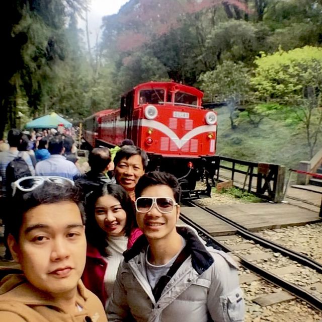  Alishan ไต้หวัน นั่งรถไฟชมธรรมชาติสวยชวนฝัน