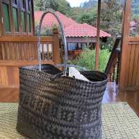 Beautiful resort in the nature, Fifty4Fern