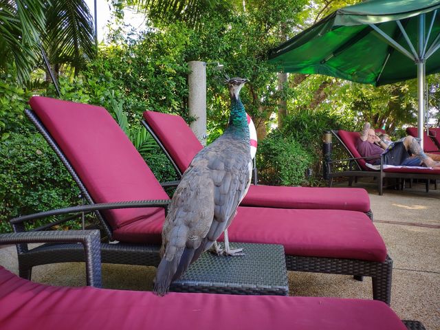 A day along the Chao Phraya River