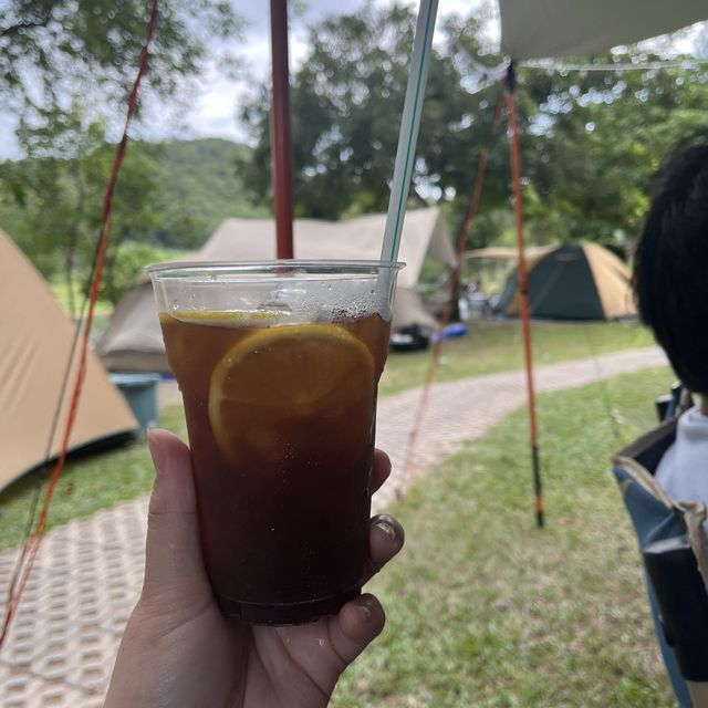 PHUPHA Coffe camp 