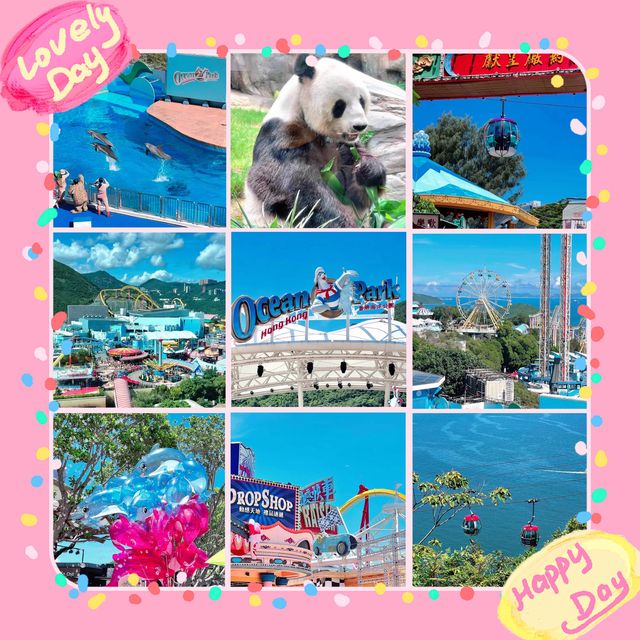 探索奇幻海洋！香港海洋公園🐬🎢
