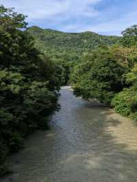 【北海道三笠】アンモナイトが沢山いる博物館