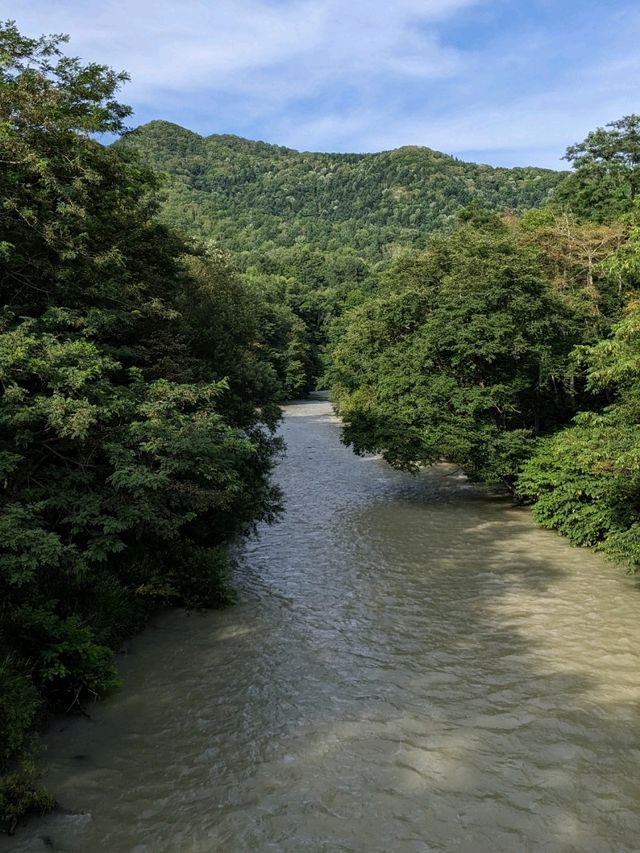 【北海道三笠】アンモナイトが沢山いる博物館